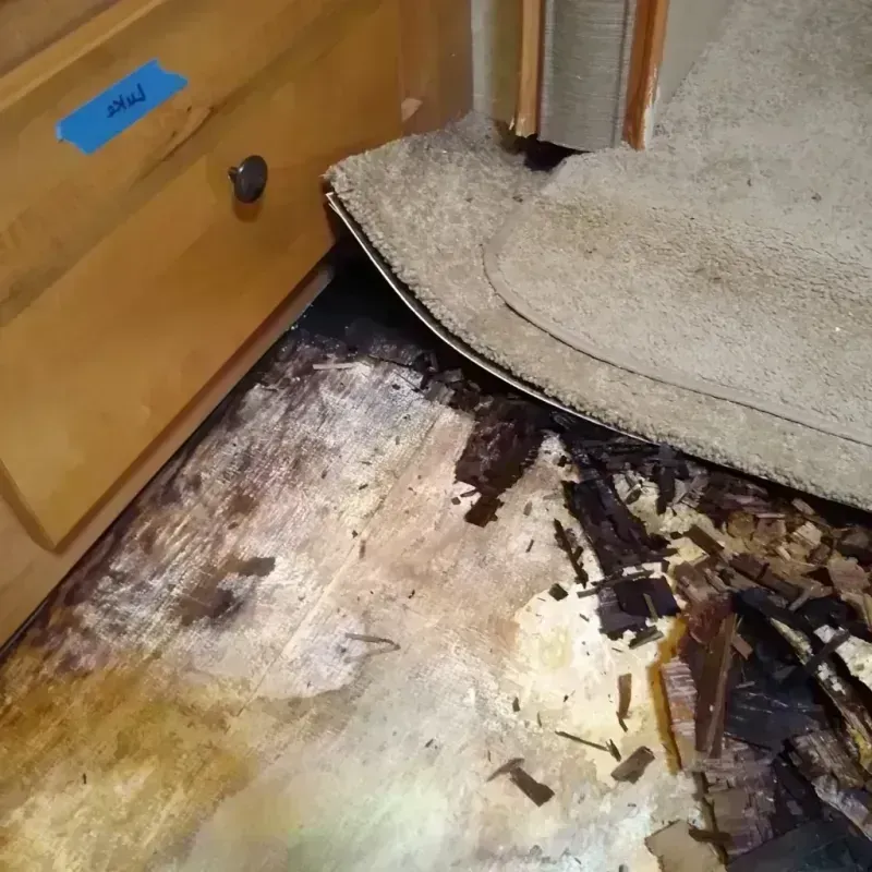 Wood Floor Water Damage in Desha County, AR